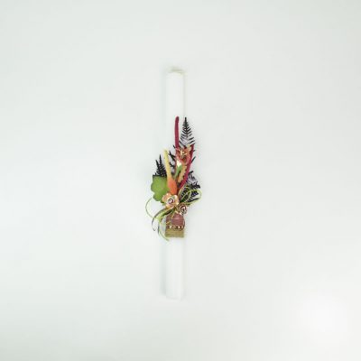 Εφηβικές και Ενηλίκων